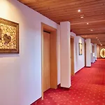 Hotel Alpenhotel Rieger 3*